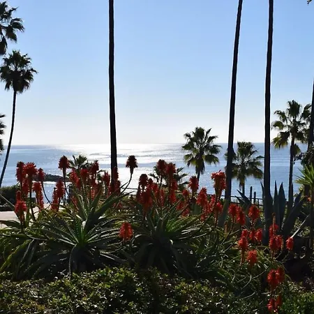 Laguna Shores Studio Suites-2
