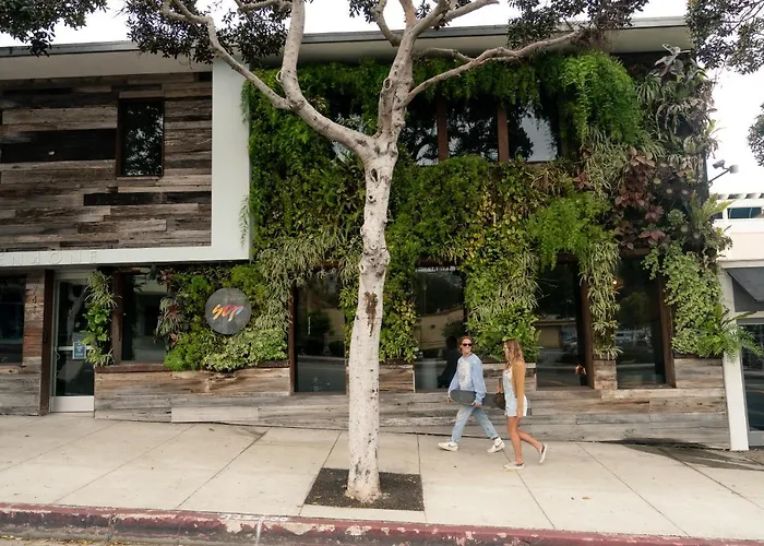 Scp Seven4One Hotel Laguna Beach